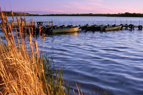 Boats docked on a lake at dawn.