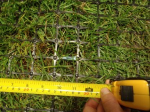 Photo of sod growing through square mesh plastic geogrid material