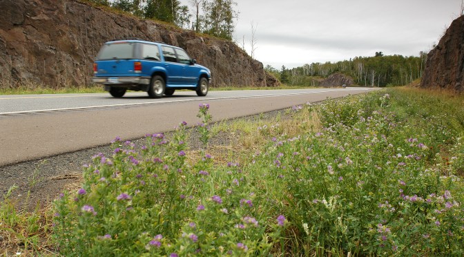 Research Provides Foundation for Chloride Mitigation Efforts