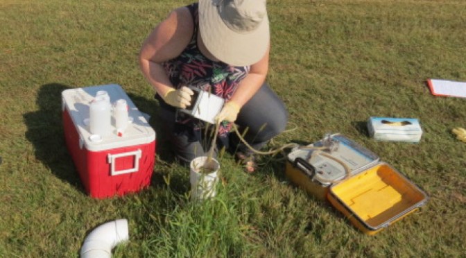 A researcher collects a nonwinter wastewater sample from the holding tank at the Shakopee facility.