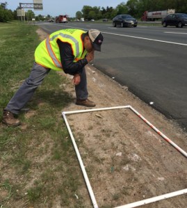 A researcher checks a turfgrass test site next to an asphalt roadway. A white-framed grid overlays the 5-by-3-foot plot, which shows very little growth.