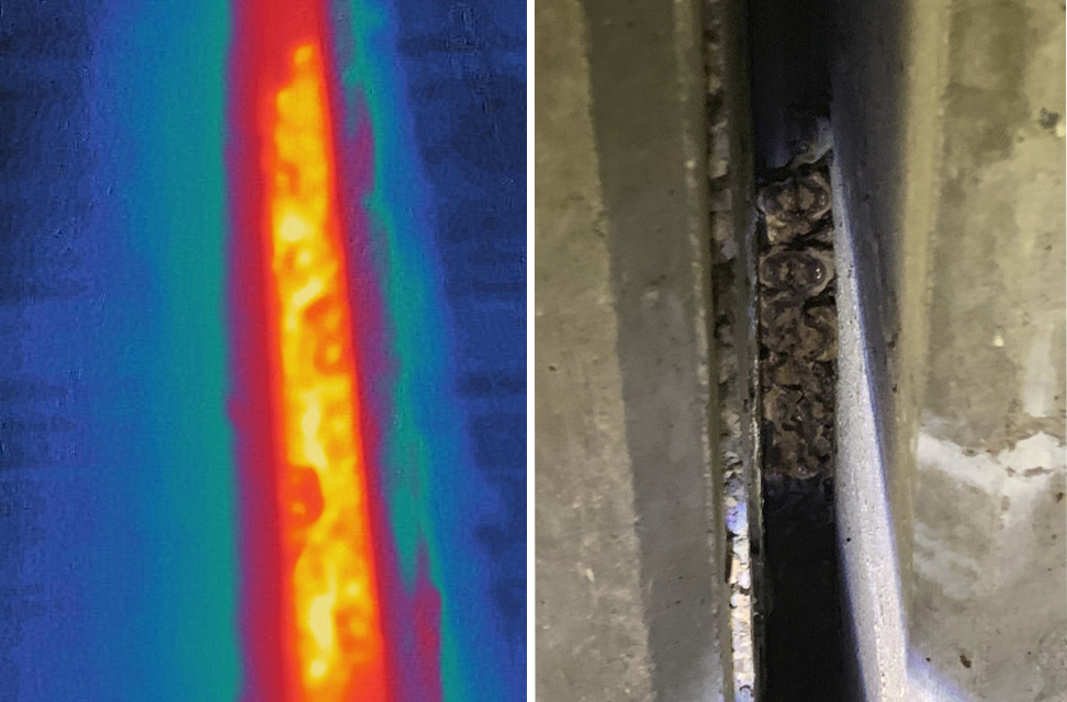 (Left) Thermal image and (right) bats under a Minnesota bridge.