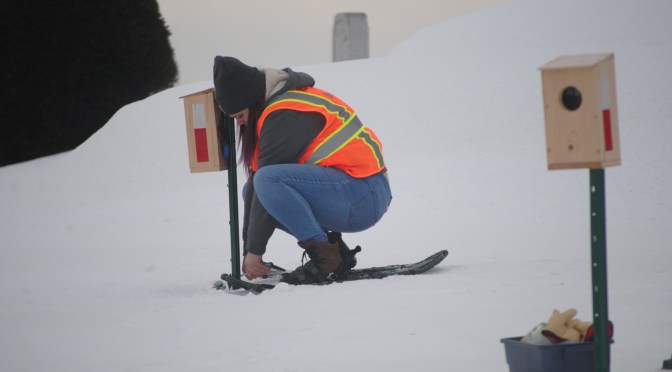 A researcher in an orange visibility vest adjusts a camera that is protected inside a wooden birdhouse.