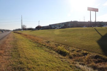 A grassy roadside with a vegetated ditch running alongside.