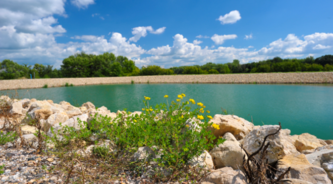 A pond with rocks and flowers on the edge, and a blue sky with clouds